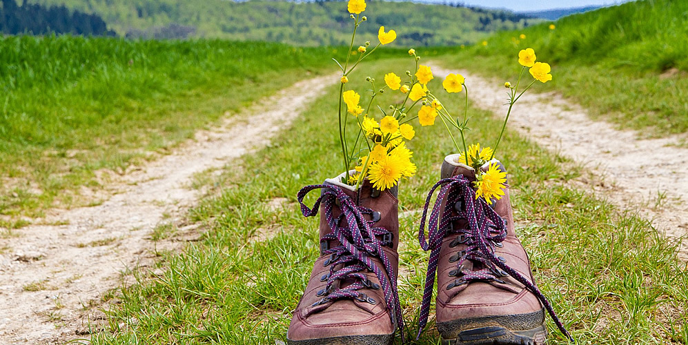 Blumen im Schuh